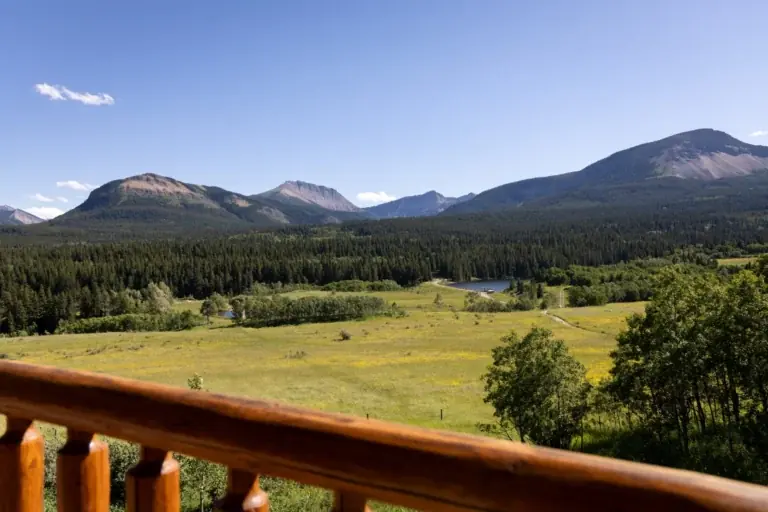 Mountain and forest views at Gladstone Mountain Ranch